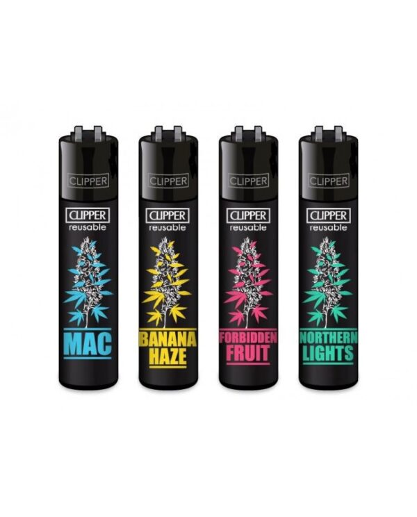 Briquet Clipper Strains mix