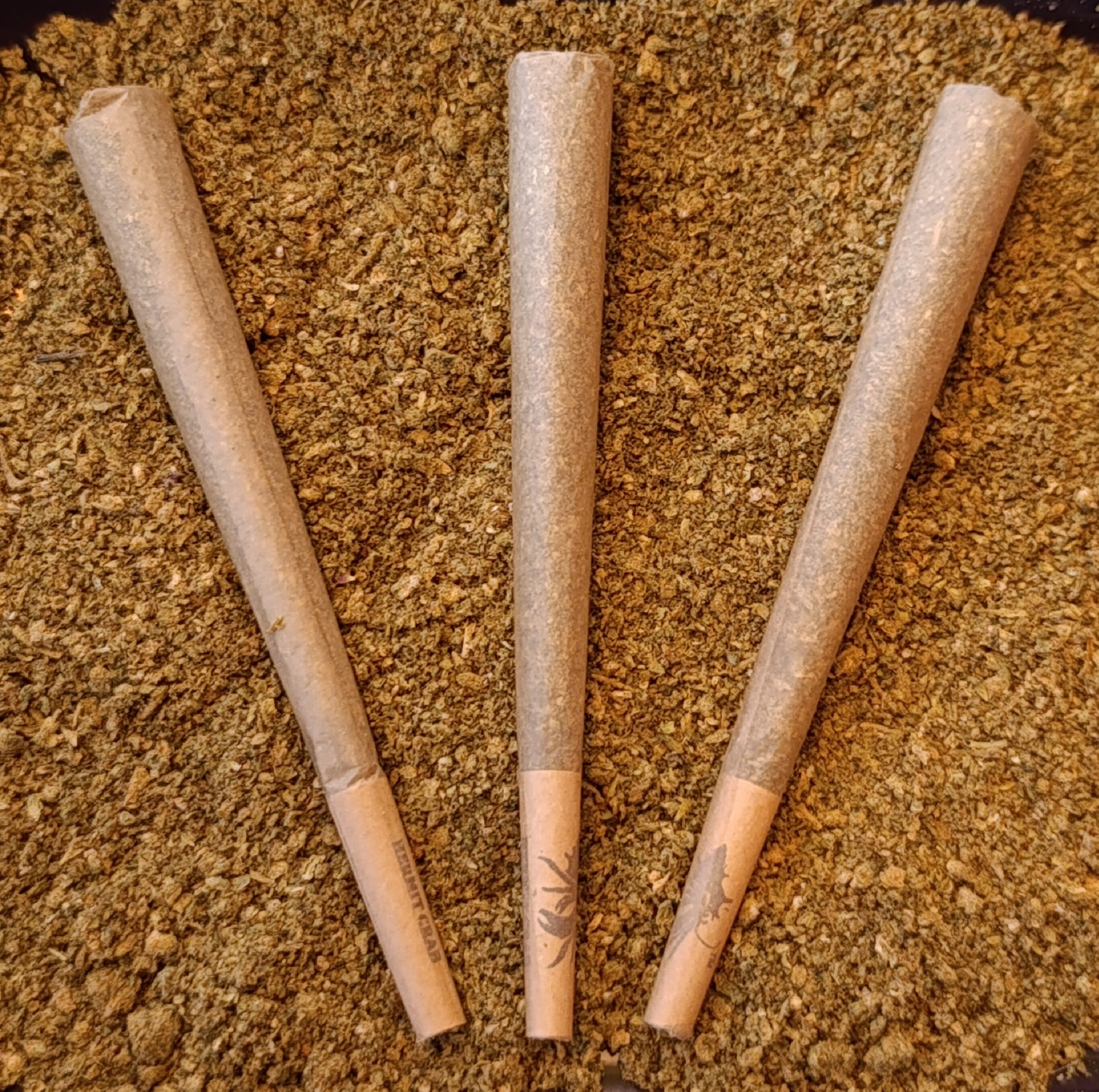 pré-roulé, papier naturel