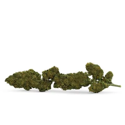 FLEUR CBD SUR TIGE STRAWBERRY