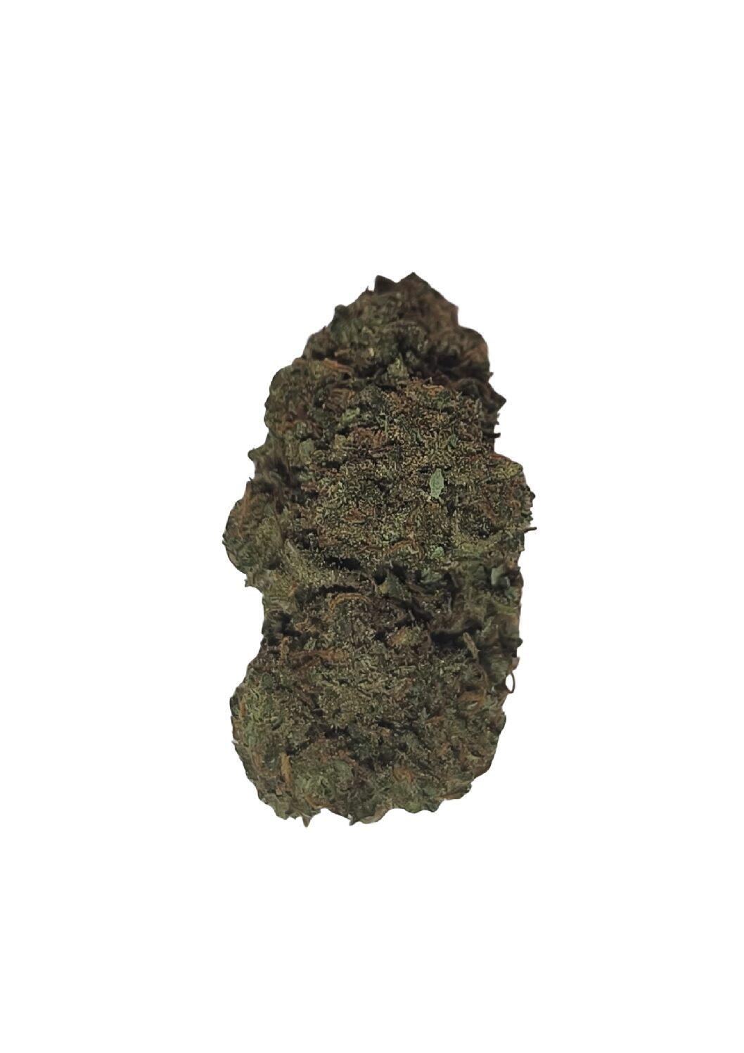 Cake berry Hybride 🇺🇸