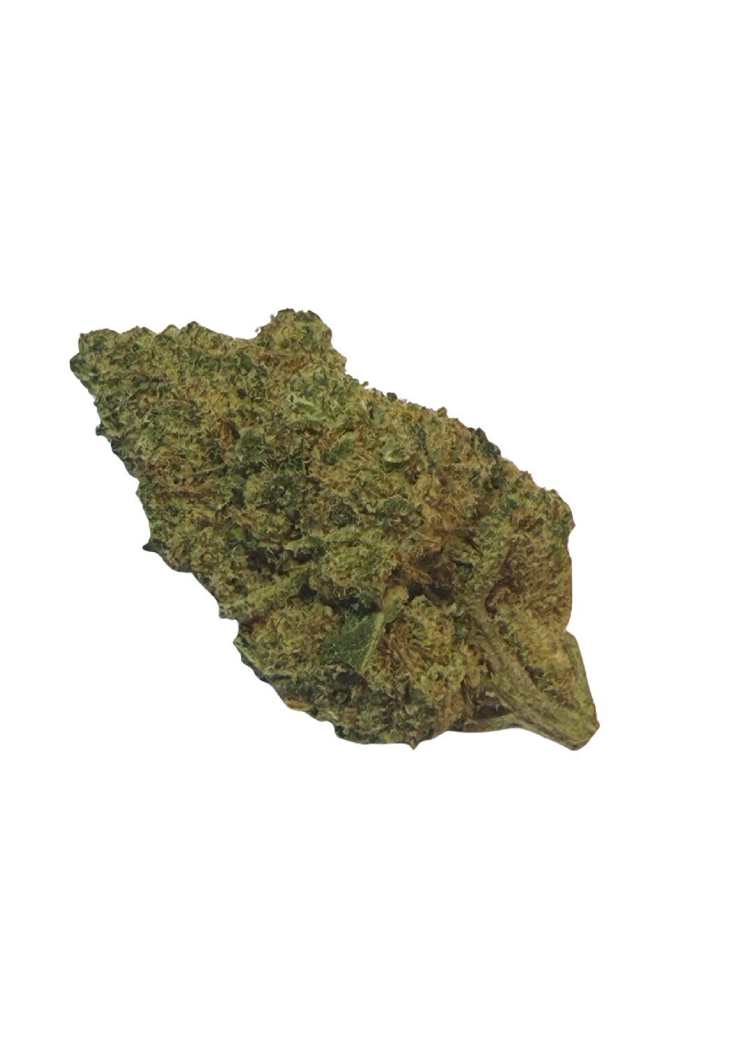 Berry HAZE🇨🇭
