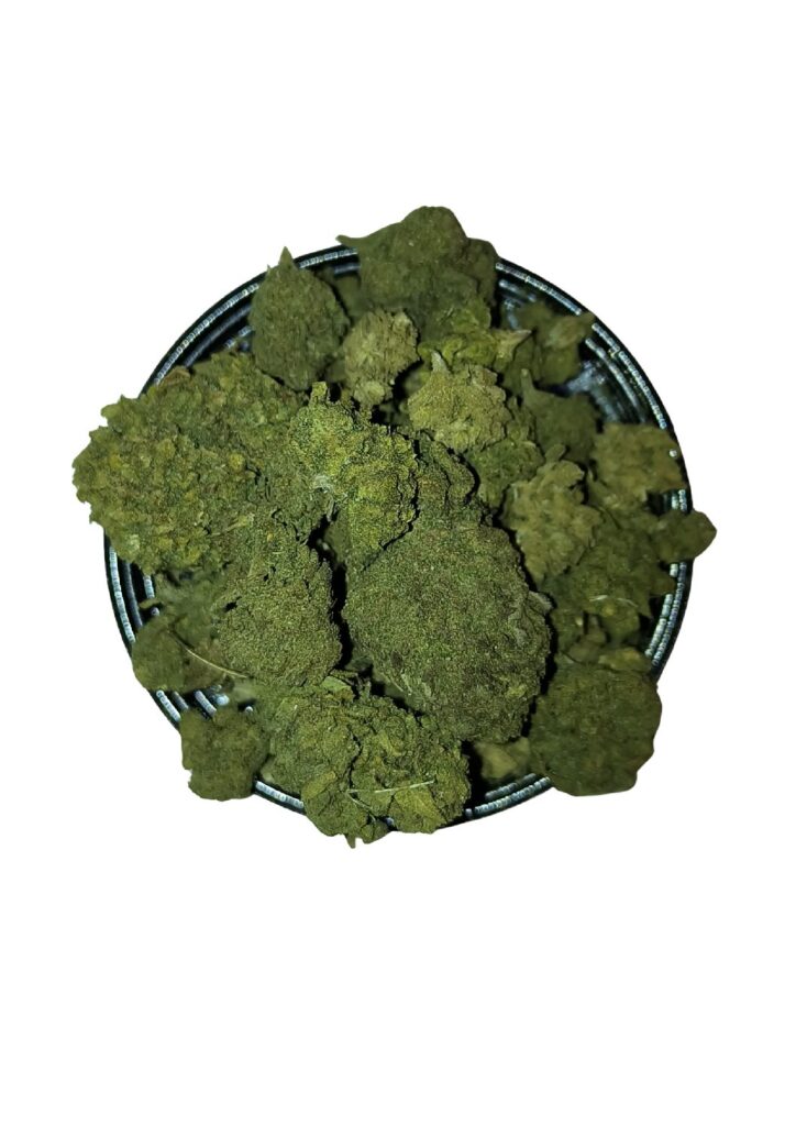 GELATO 🇮🇹