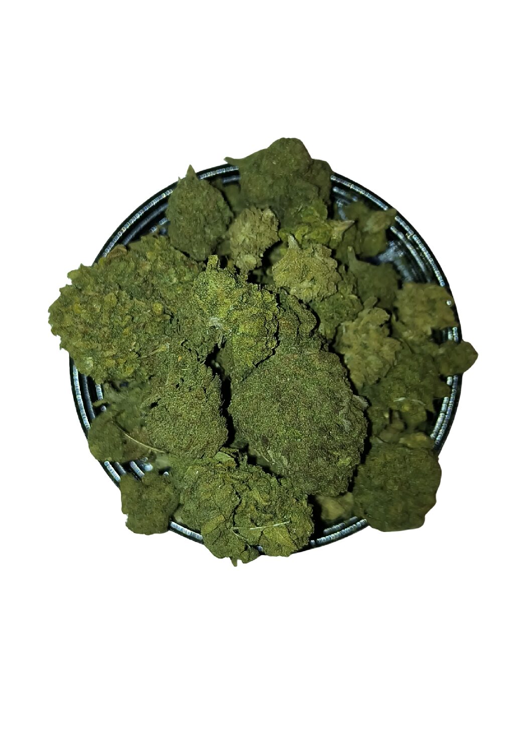 GELATO 🇮🇹