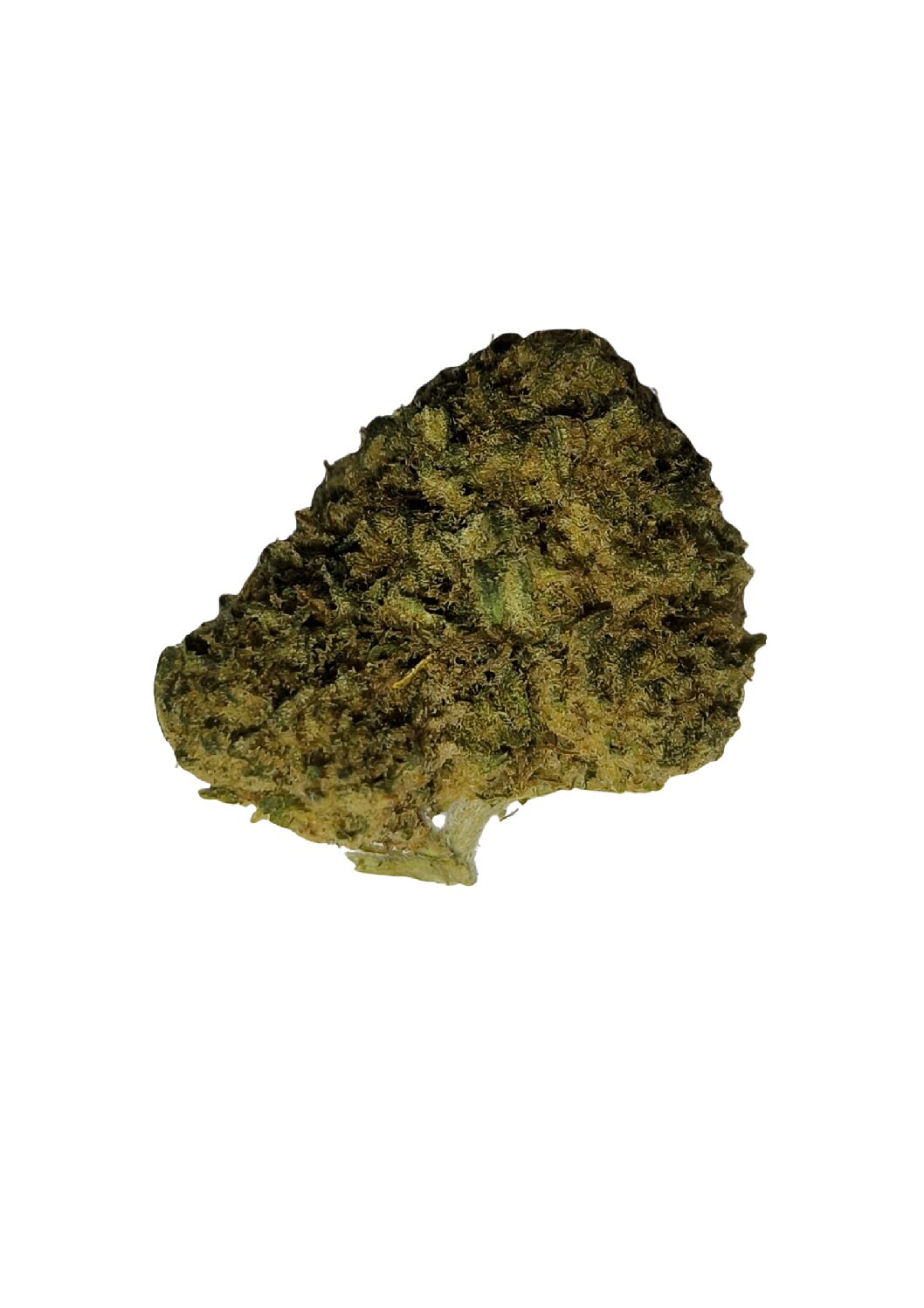 FLOATZ US Hybride 🇺🇲