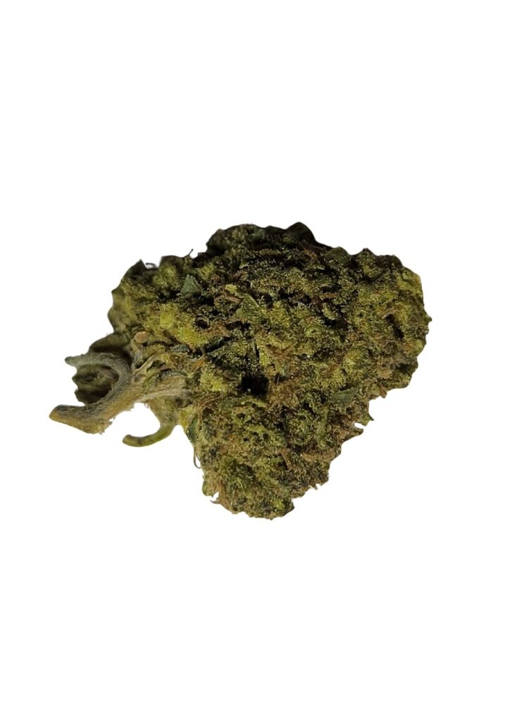 SKYWALKER US Hybride 🇺🇲
