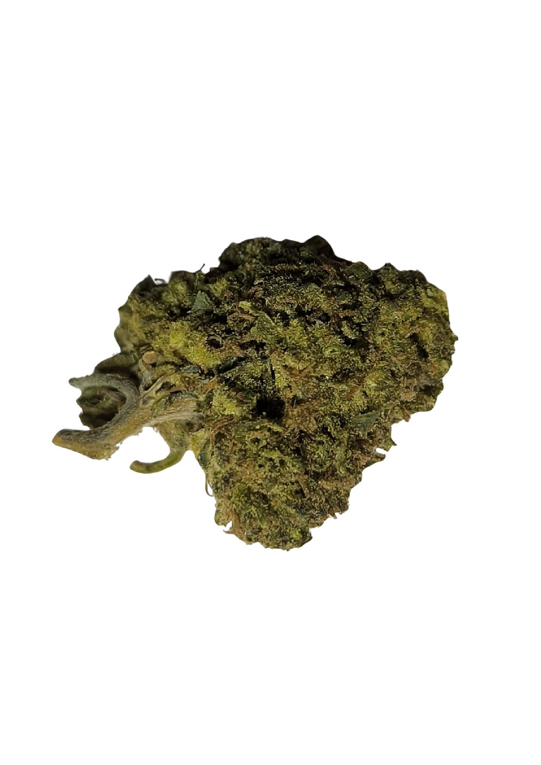 SKYWALKER US Hybride 🇺🇲