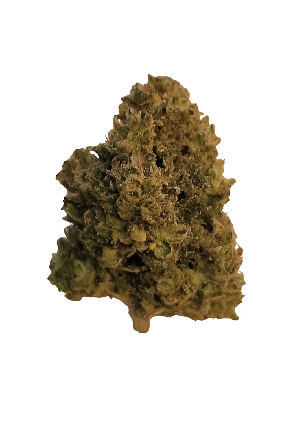 PASSION KUSH US Hybride 🇺🇲