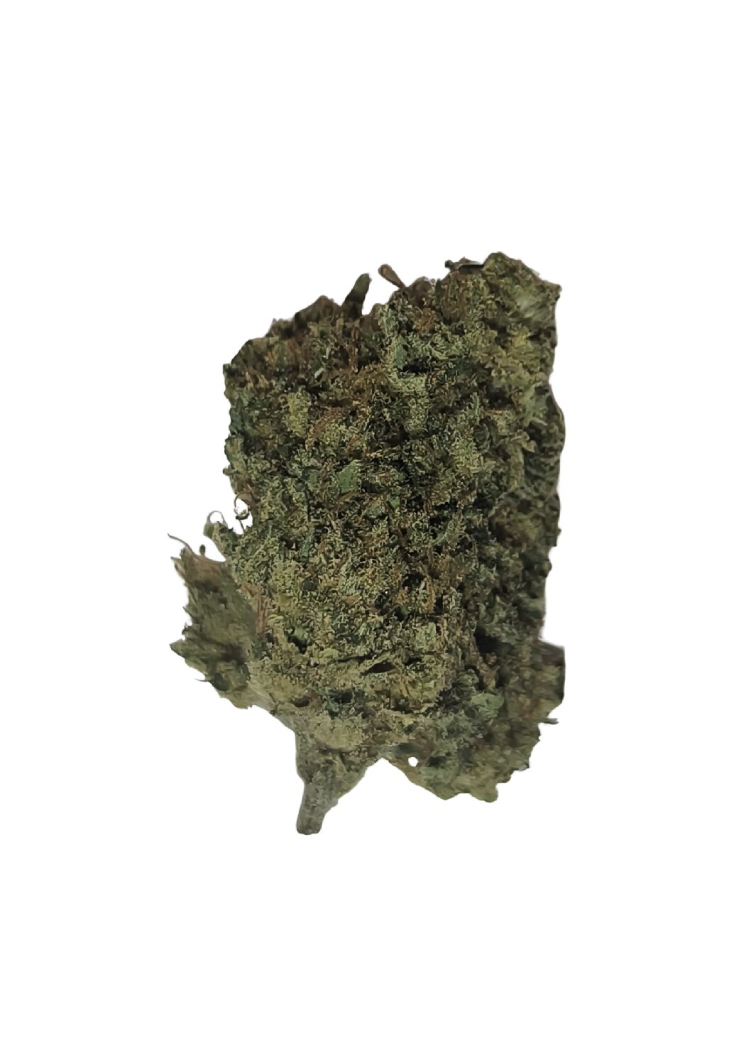 Cake berry Hybride 🇺🇲