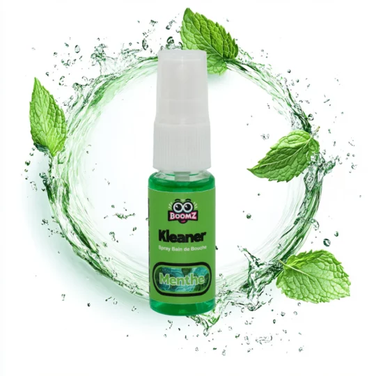 KLEANER SPRAY Menthe