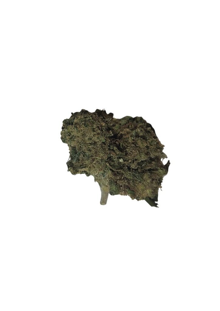 Lemon OG Hybride 🇺🇲