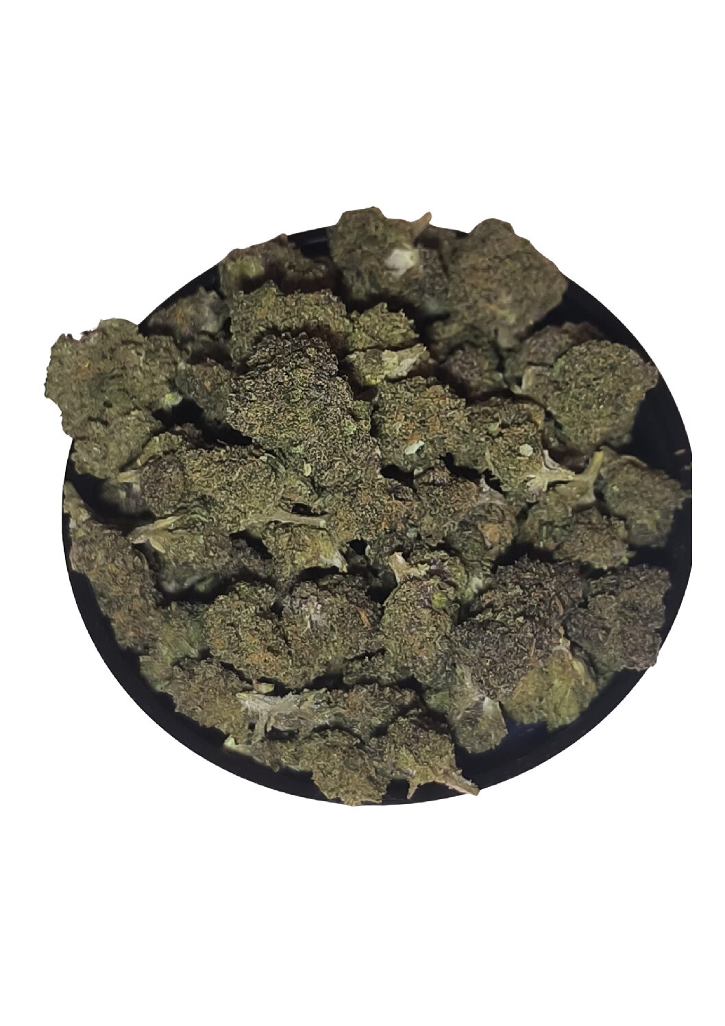 LEGENDARY PLATINIUM🇺🇸