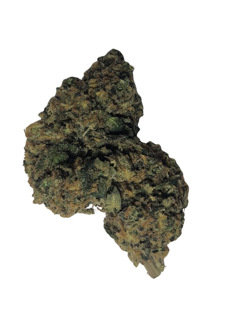 BLUEBERRY MUFFIN🇨🇭