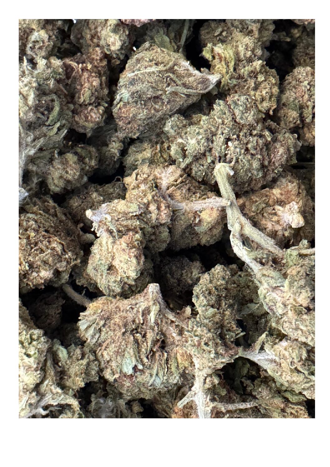 LEMON HAZE