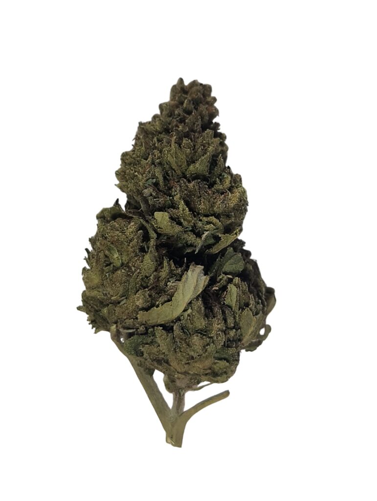 MIMOSA🇨🇭